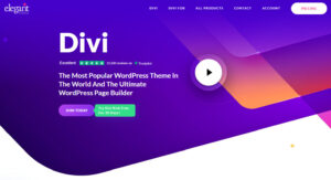 Divi-Theme